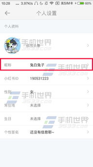 探索昵称的无限可Neng——详尽修改指南及个性塑造之道