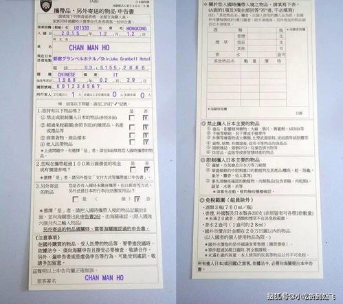 入境检查手续：确保平安与合规的关卡