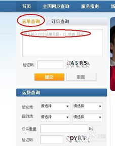 一、 京东订单号查询跟踪无后来啊的原因分析