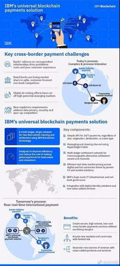 全球支付解决方案的弊端