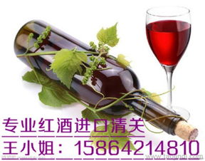 四、 资金与场地准备：稳健运营，基础保障