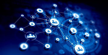 4. 关注量：潜在用户群与成长潜力的展现