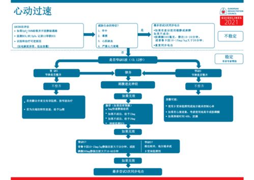 一、 专业服务概述