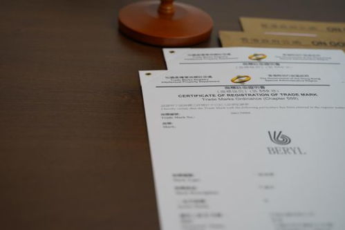 从文化差异和社会责任的角度探讨问题