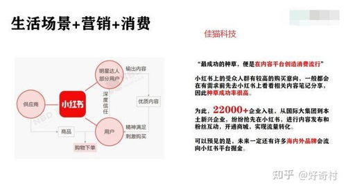 一、 推广的主要收费模式