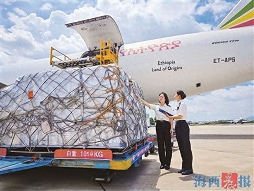 厦门空港跨境电商出口包裹数突破亿单的背后