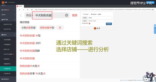 1. 借助站内数据选品