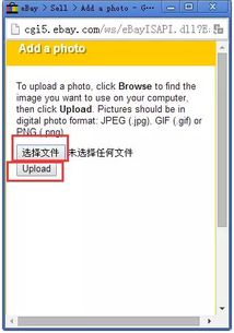 ：电子商务平台的独特魅力