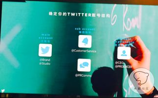 步骤一：注册个人或商业Twitter账号