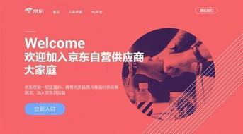 三、京东自营店入驻流程详解