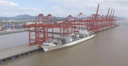 三、超重货物：承重限制与货物损坏风险