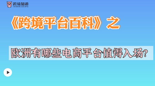 二、欧洲电商市场特点分析