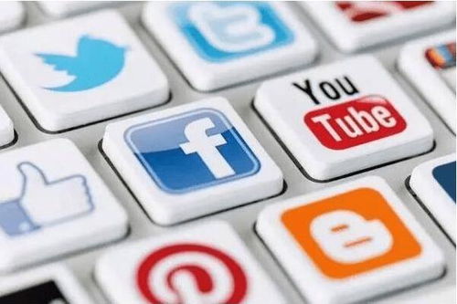 2. 社交平台互动