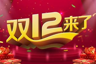 预热期与狂欢日