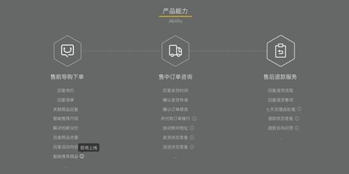 一、 我对阿里巴巴云客服的初步感受