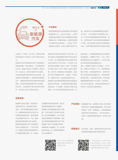 1. 确定公司类型