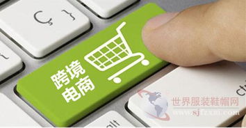 二、 市场定价与消费者习惯的细致分析