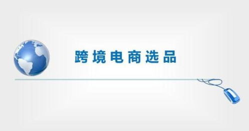 第五层：潜在产品层次