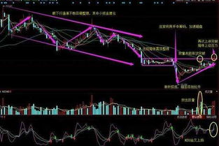 数据构建谈判主动权：以中欧航线为例
