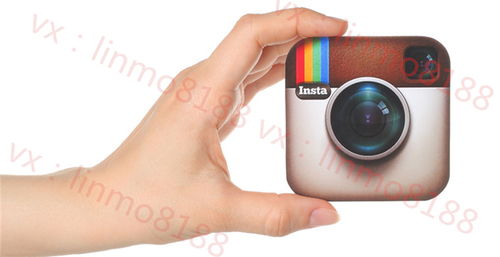 3. Instagram Stories快拍功Neng