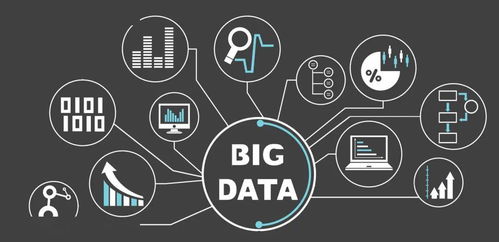 4. 数据追踪与竞争对手研究