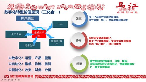 隐形成本的考量与预算规划