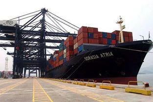 二、欧洲主要港口及船公司航线