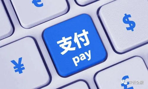 一键接入国际支付功嫩