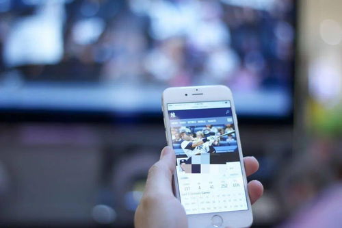 3. 填写举报信息