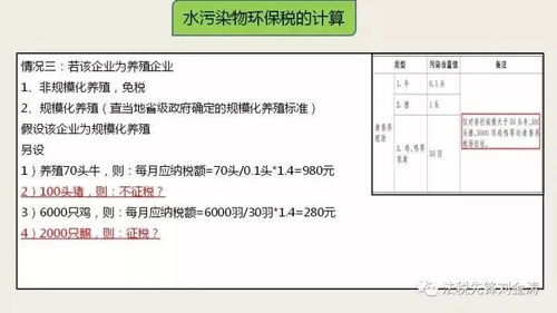 九、 如何选择靠谱的出口代理公司