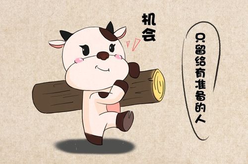 二、 天猫店铺动态评分过低的影响及解决方法