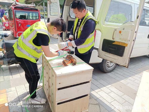 七、 网上配货平台的兴起与发展