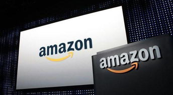 二、 中东亚马逊适合销售的产品