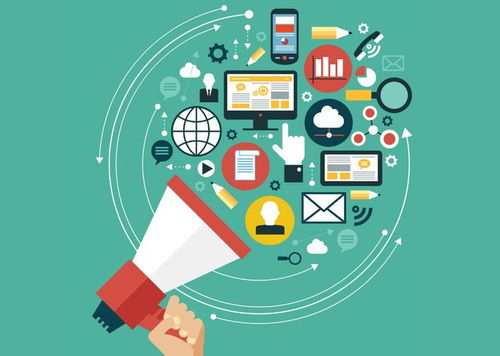 网上生意的平台选择与市场调研