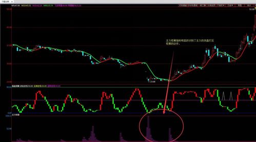 天猫主图数量规范