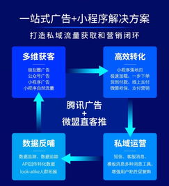 独立站的挑战与机遇：资源评估与风险控制