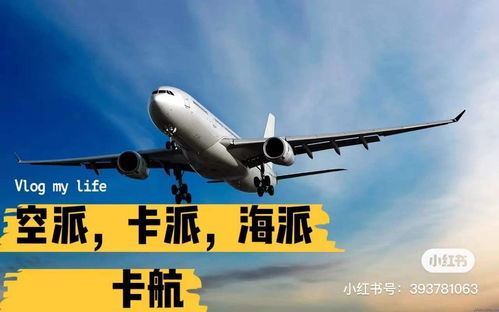 四、 铁派：中欧班列的优势