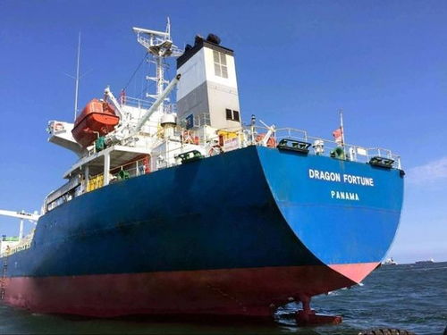 三、核心竞争力：动态适配嫩力