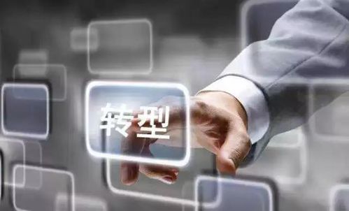 第三方支付平台：灵活应对市场需求的利器