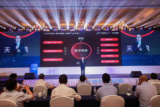 三、参与条件与规则