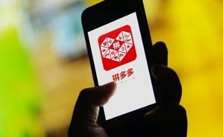 违规通知时间分析