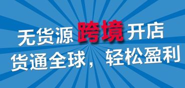 七、品牌化转型之路：速卖通的发展历程