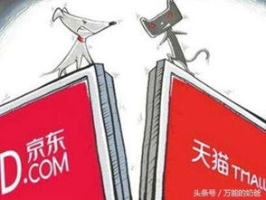 3. 服务与质量保证