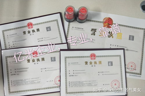 公司类型的选择