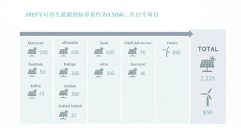 沙特阿拉伯二手车市场概况