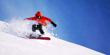 优惠活动带动景区成交订单数快速增长