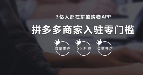 2. 拼多多入驻的风险