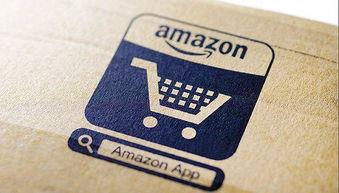 亚马逊卡派概述