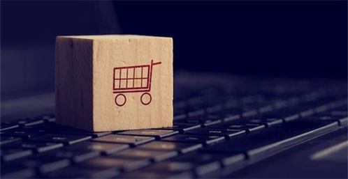 跨境运输问题的考量与应对