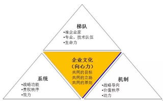 五、 香港的人才资源